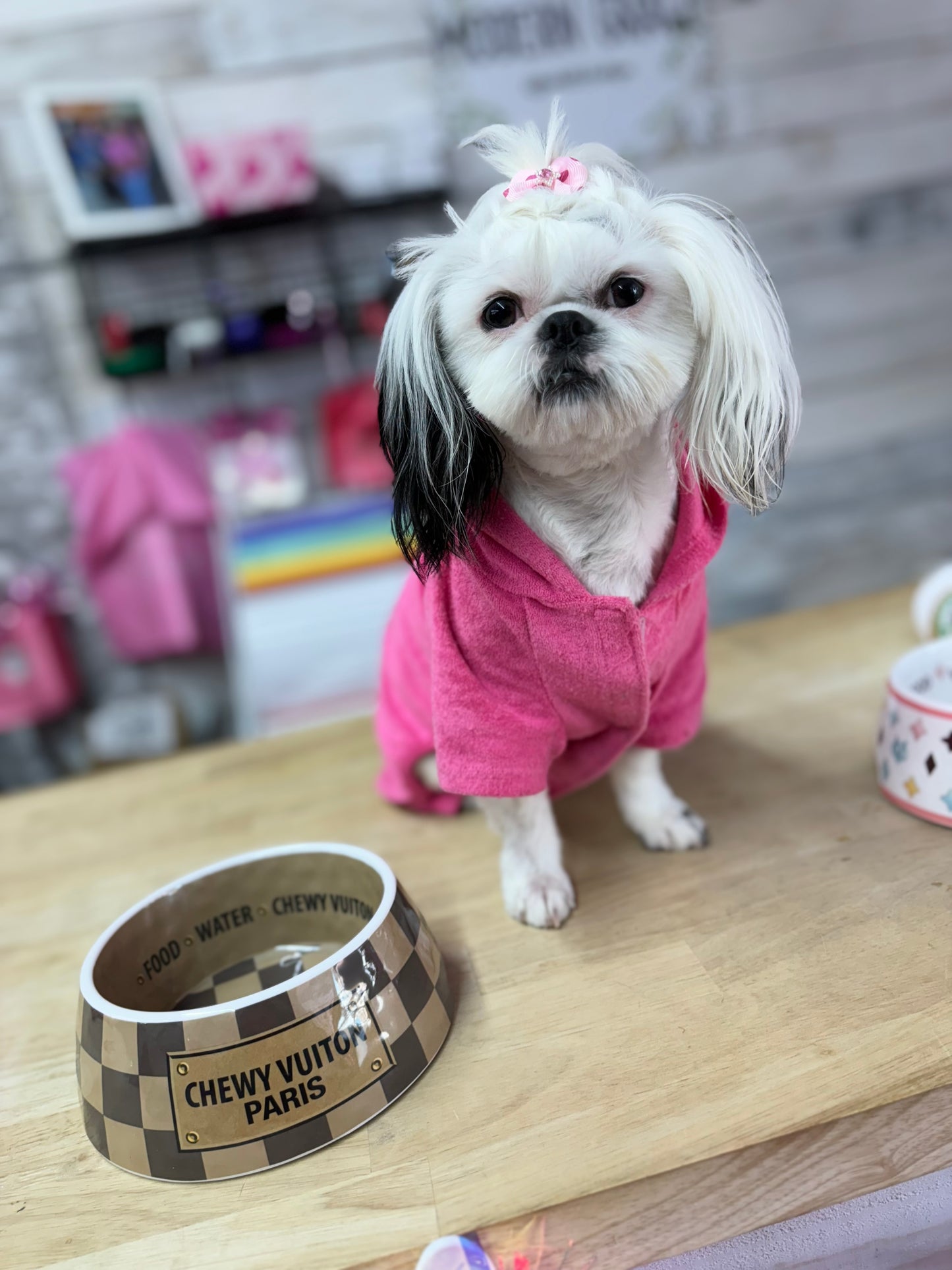 Medium Checker Chewy Vuiton Dog Bowl