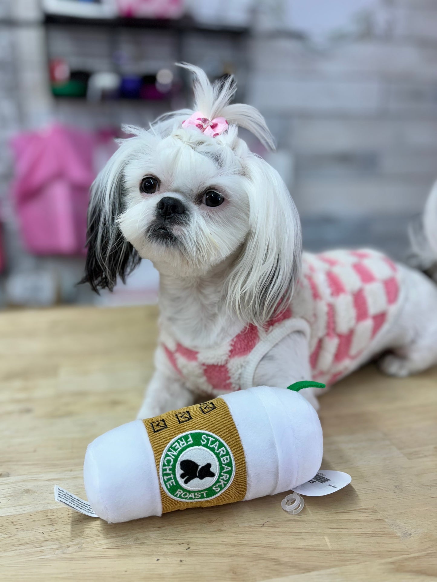 Starbarks Plush Dog Toy With Lid