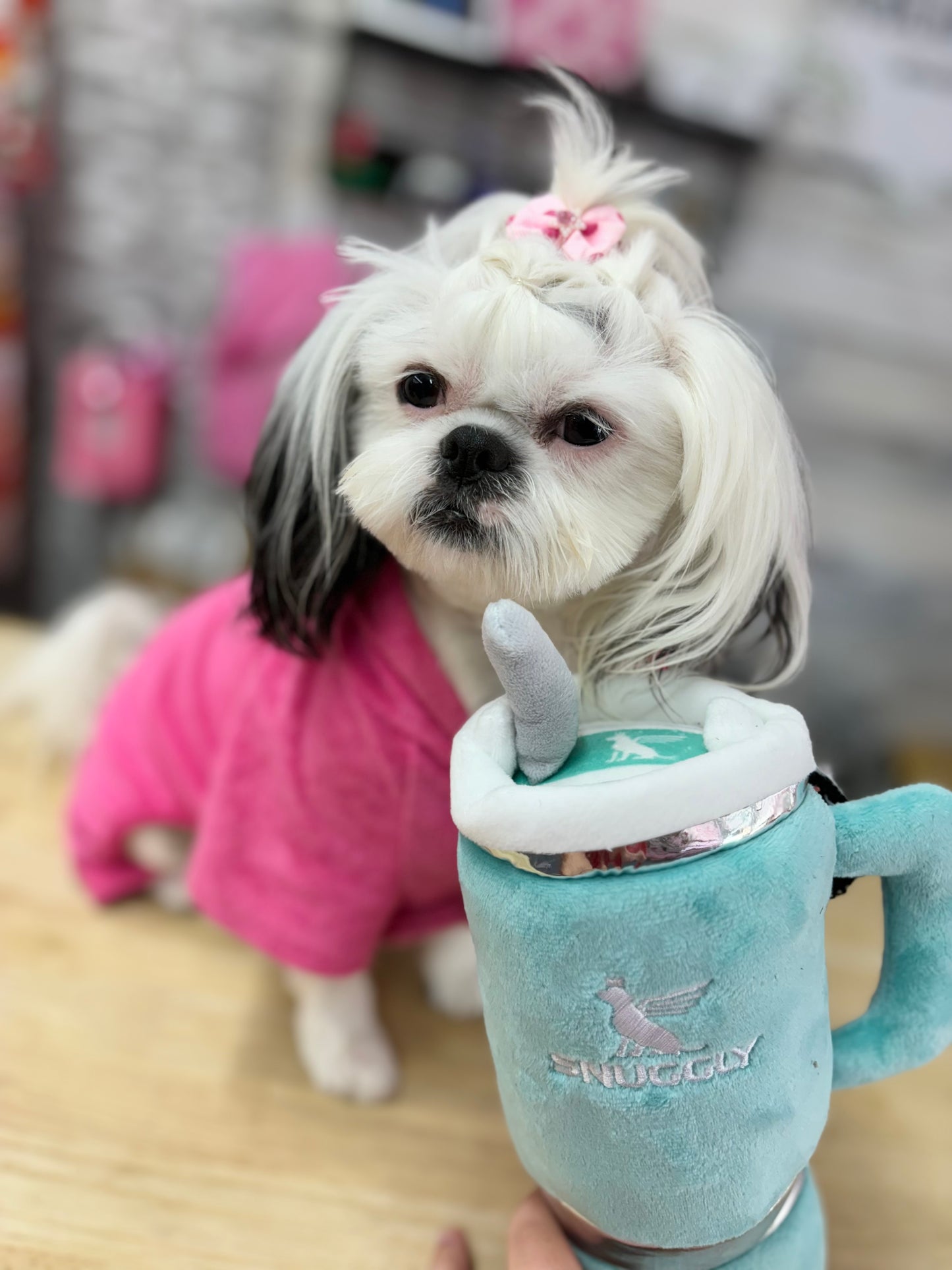 Teal Snuggly Cup Dog Toy