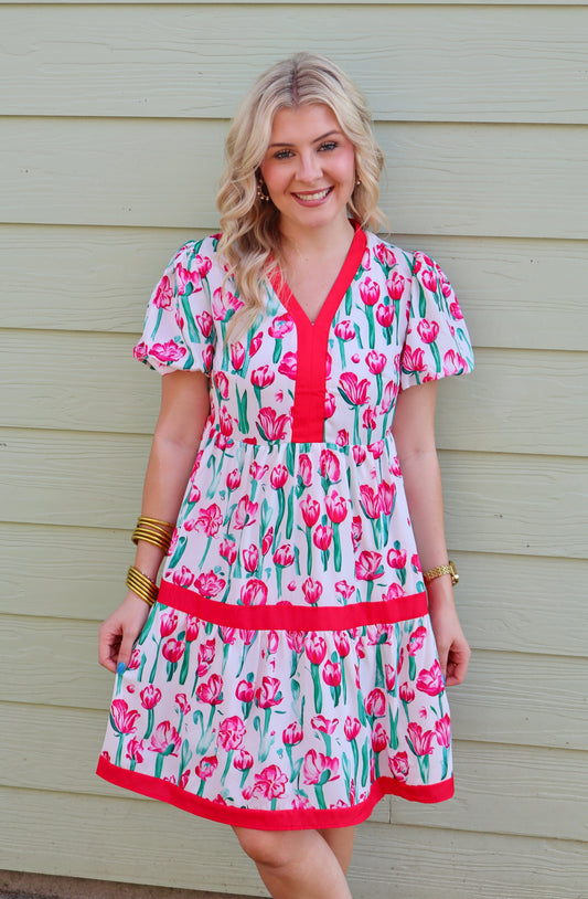 Pink Floral Print Contrast Trim V Neck Bubble Short Sleeve Babydoll Dress